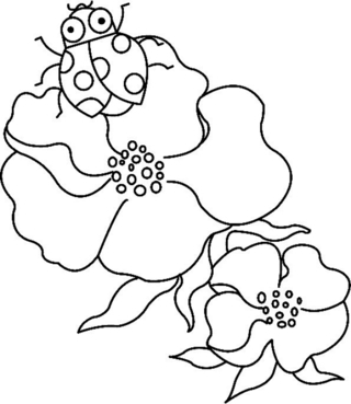 Fleurs et coccinelles 01 - Coloriages fleurs, fruits et légumes - Coloriages - 10doigts.fr